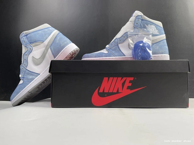 Cheap LUCY Sustainable Jordan1 3603 Grey Hyper Royal Retro 555088- Smoke 1026